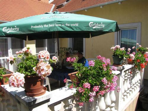 Hostal Dorina Vend�gh�z