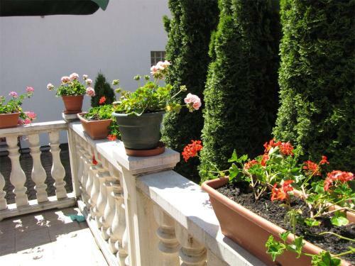 Hostal Dorina Vend�gh�z