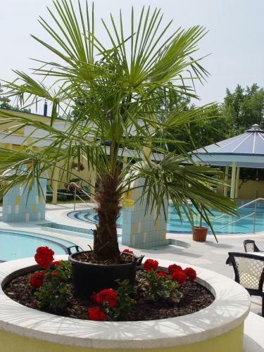 Hotel Rudolf