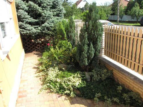 O�zis Apartmanh�z