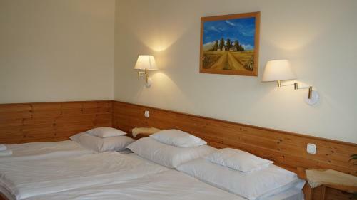 Hajd� Kast�ly Hotel