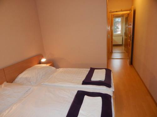 Hostal Hajd� Vend�gh�z