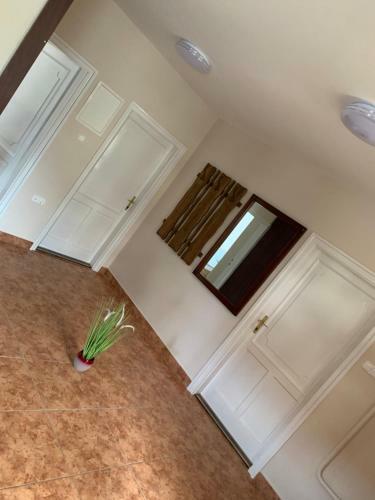 Zsuzsa Apartman Hajd�szoboszl�