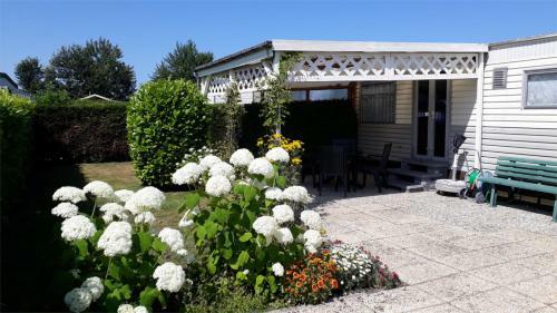 Nv 37 - Beach Resort Nieuwvliet Bad