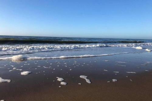 Apartamento Blue Beach House 350 Meters From Sea