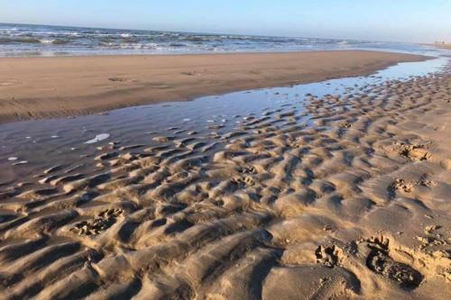 Apartamento Blue Beach House 350 Meters From Sea