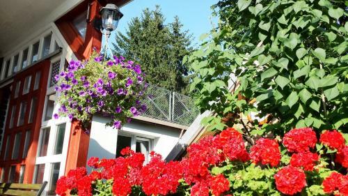Hostal M�traszentimre Panzi�