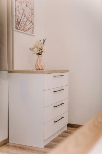 Hostal Soho Panzi� Superior