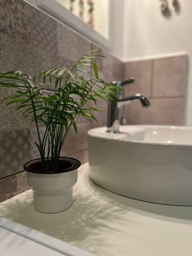Hostal Cseri Porta