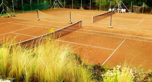 Bed & Breakfast T�nd�rszikla Panzi�