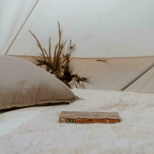 Blije Haventent Met Prive Sanitair - 2-4 Pers