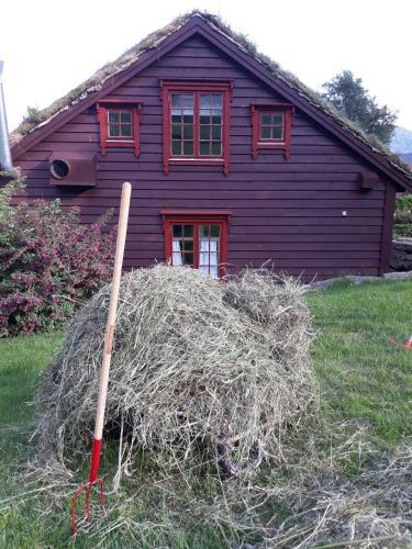 Orheimstunet - G�rdsferie For Storfamilien