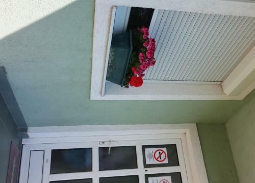 Eman Apartmanh�z