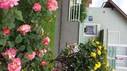 Eman Apartmanh�z