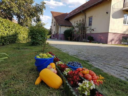 Hostal Ingrid Panzi�