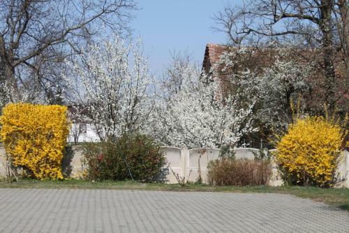 Hostal Ingrid Panzi�