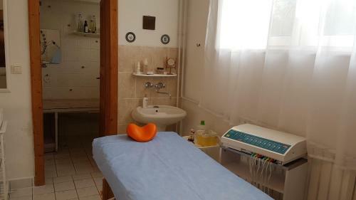 Hostal Ingrid Panzi�