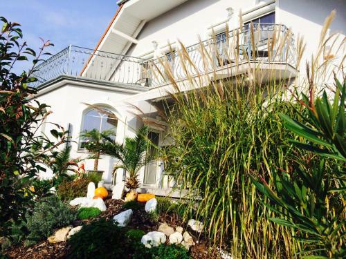 Bed & Breakfast Judit Vend�gh�z