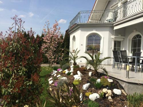 Bed & Breakfast Judit Vend�gh�z