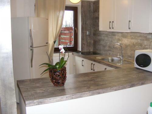 Apartman Ereli