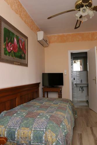 Hotel Sir David Balaton Castle