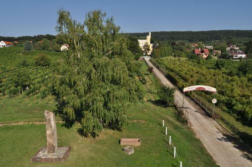 Hotel Sir David Balaton Castle