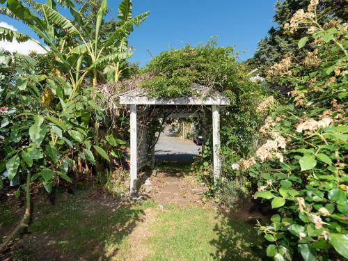 Chasara - Paihia Bach