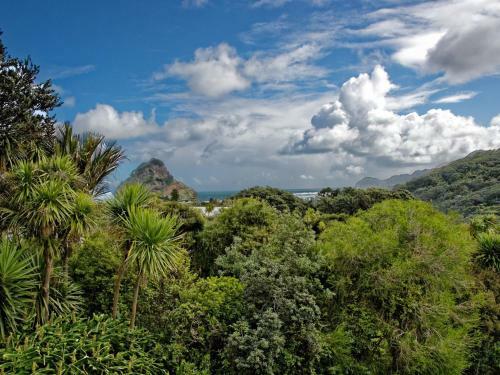 Surfer's Sunshine Cottage - Piha Holiday Home