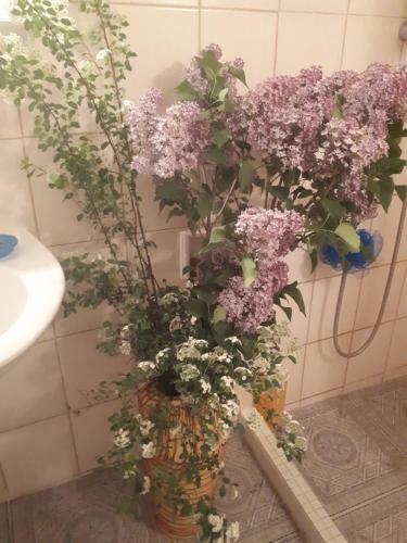 Bed & Breakfast F�nagy �s Walter Vend�g- �s Borh�z