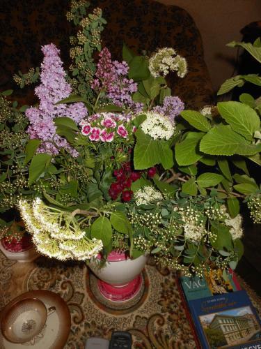 Bed & Breakfast F�nagy �s Walter Vend�g- �s Borh�z