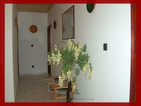 Hostal Royal Villa