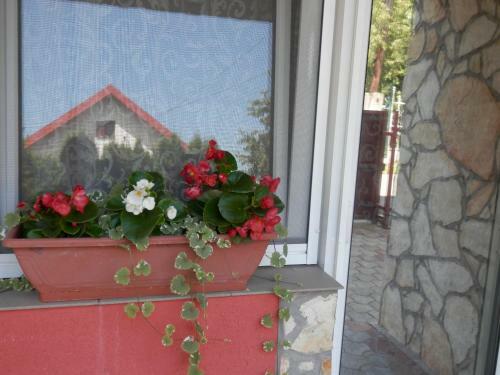 Hostal Veronika Villa