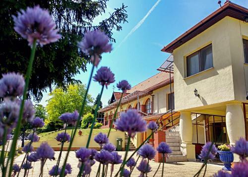 Hostal Villa Teleki
