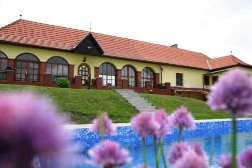 Hostal Villa Teleki