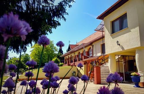 Hostal Villa Teleki