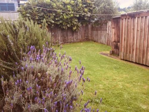 Mollies Place - Waihi Beach Holiday Unit