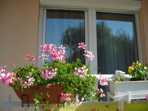 Atmoszf�ra Apartman