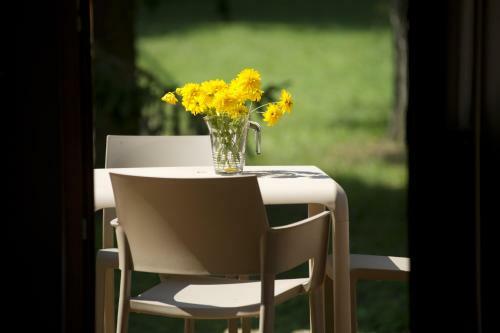 Bed & Breakfast Vadkert Major