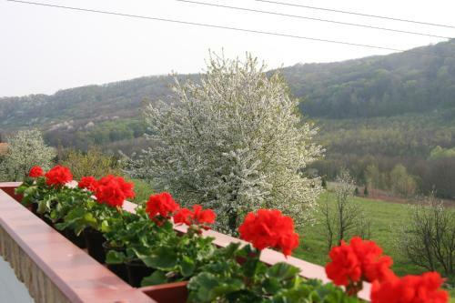 Bed & Breakfast P�los Resort