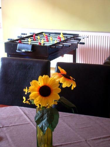 Hostal T�mea Vend�gh�z