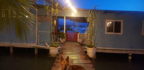 Calipso Over The Sea B&B