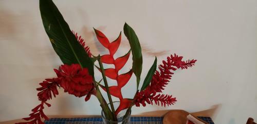 Calipso Over The Sea B&B
