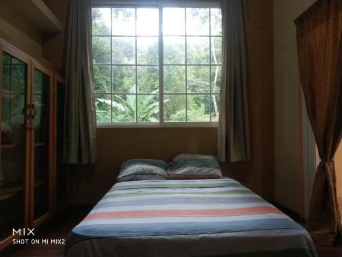 Hostal Mission Villas, Big Creek, Isla Colon, Bocas Del Toro, Panama