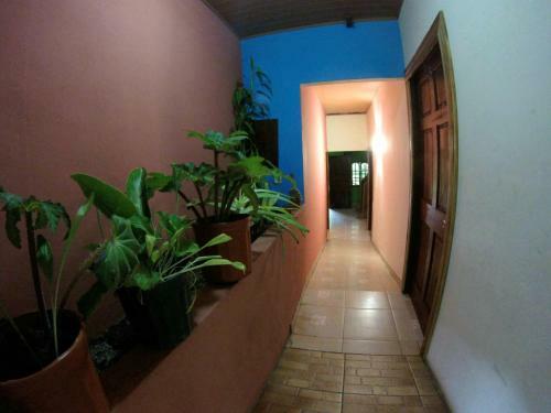 Hostel Bulaba