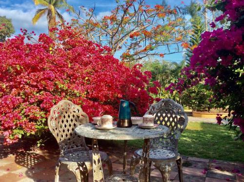 Posada Cafegourmetptacorona
