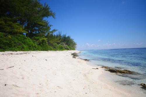#7 Beach Villa Bliss By Tahiti Villas