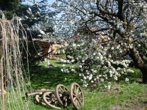 Hostal Nagy Vend�gh�zak