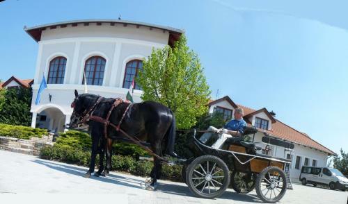 Bodrogi K�ria Wellness Hotel