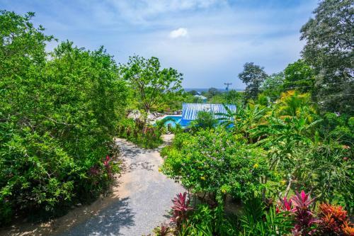 Hostal Guava Grove