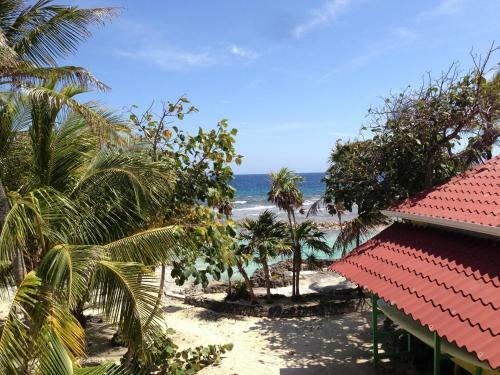 Hotel Reef House Resort